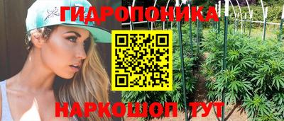ALPHA PVP Кунгур