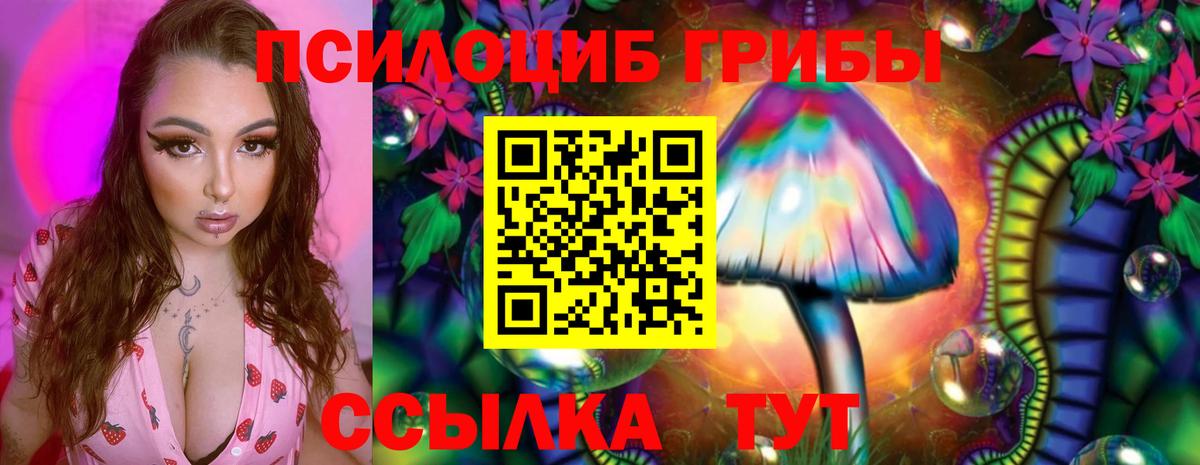 Галлюциногенные грибы ЛСД  Вход с VPN  Галлюциногенные грибы GOLDEN TEACHER  Казань 